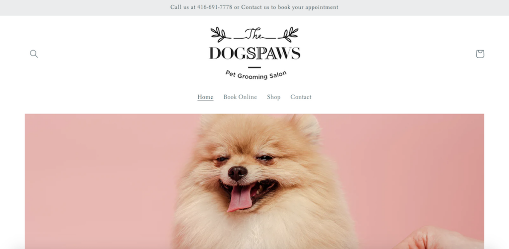 DOGSPAWS Pet Grooming In The Beaches